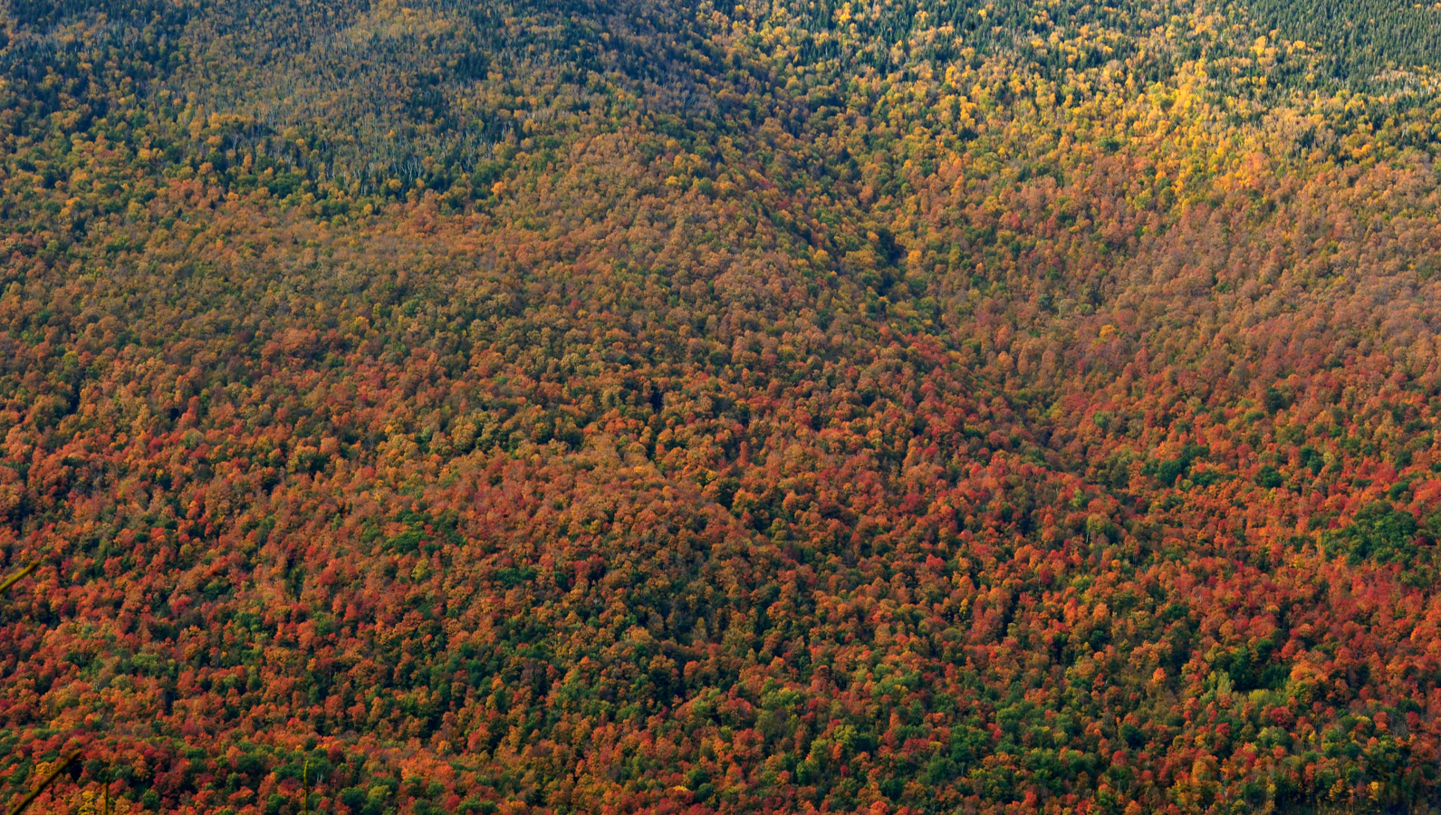 Ascent to Baker Peak [135 mm, 1/100 sec at f / 14, ISO 400]